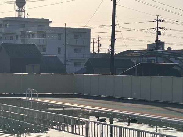 冬のお客さん 松阪市立第二小学校